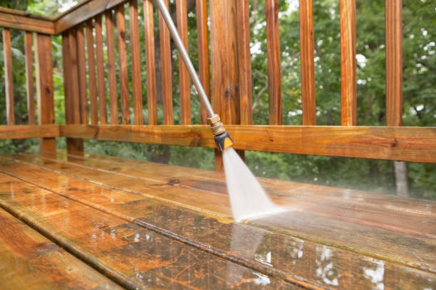 Best Exterior Home Cleaning  in Bolivar, WV